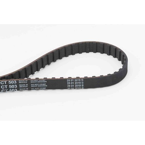 Cinghia dentata ct503 - dentata,