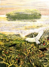 Robert Carroll - Litografia