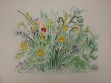 Raoul DUFY : Fleurs