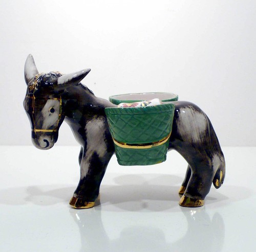Asinello piccolo asino