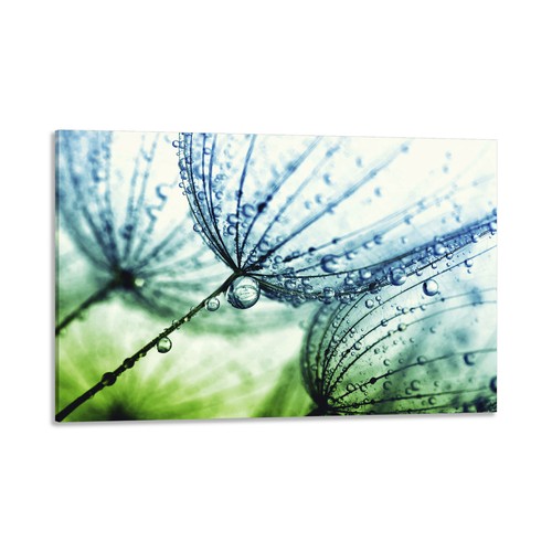 Quadro stampa tela con - su,