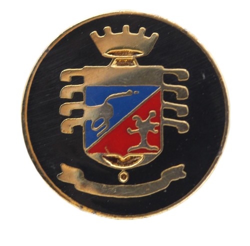 Distintivo spilla stemma - distintivo,