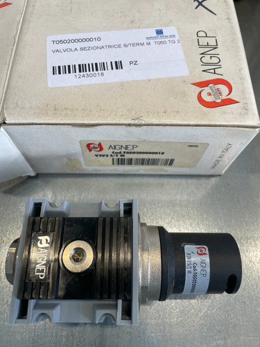 Aignep t050200000010 valvola - aignep,