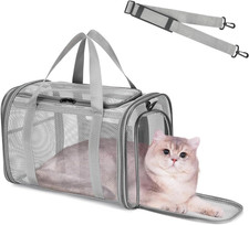 Borsa per Il Trasporto Del