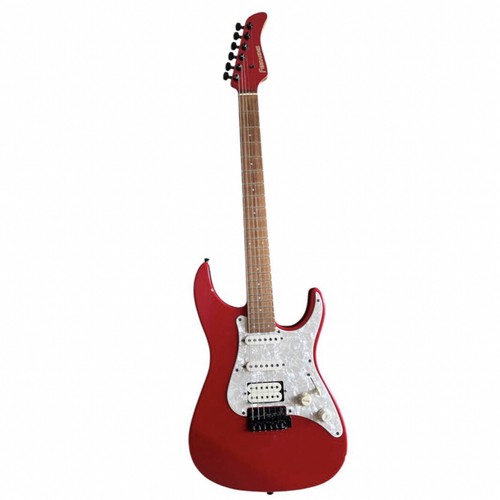 Chitarra elettrica fernandes - elettrica,