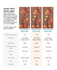 Qbis Camino Tramonto Display