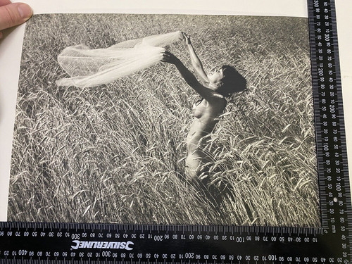 Foto arte vintage - d'arte,