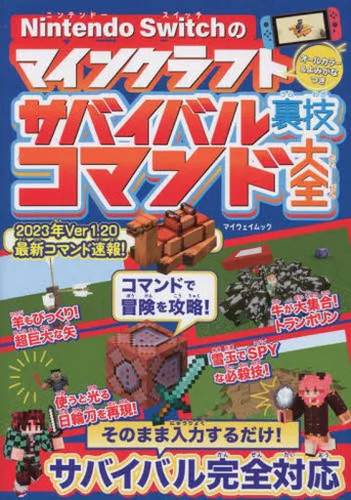 Minecraft survival strategy - minecraft,