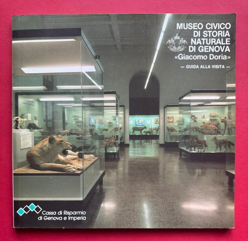 Museo civico storia naturale - museo,