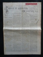 Il Carrubo in Sardegna Giornale di Agricoltura della Domenica Anno VI 14/6/1896