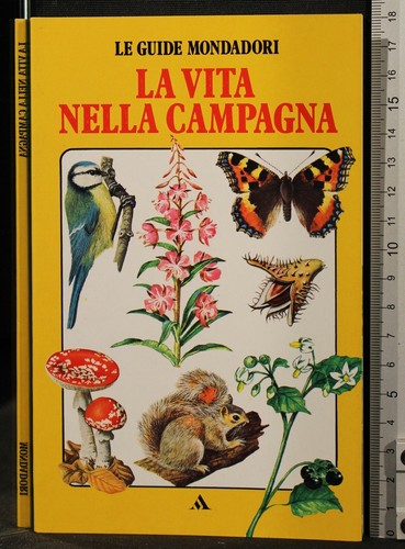 Vita nella campagna - la, campagna.