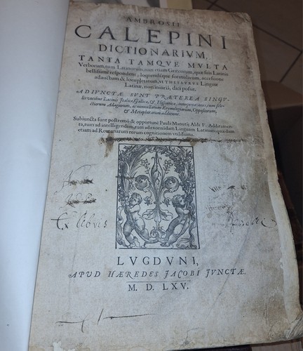 Ambrogio calepino - ambrogio,