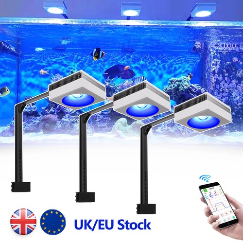 Popbloom rl90 wifi marine led - marine,