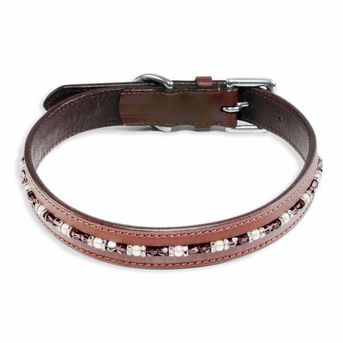 Collare per cani - ,
