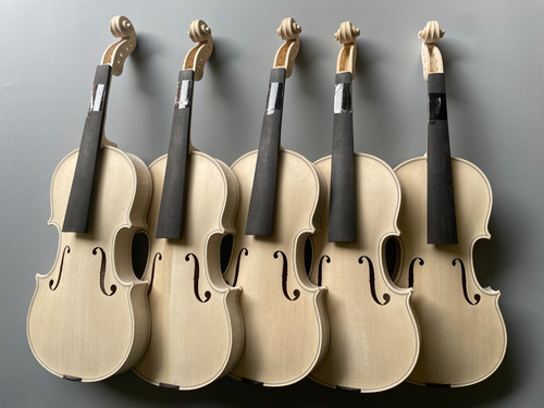 Nuovo violino modello - nuovo,