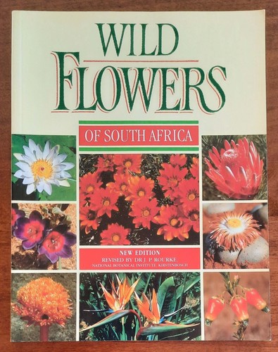 Wild flowers south africa - flowers,