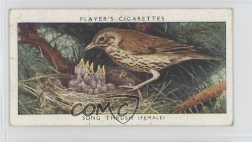 1937 player birds their - 1937,