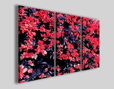 Quadri moderni Puntite flowers stampe fiori