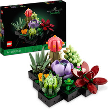Botanicals piante grasse - botanicals,