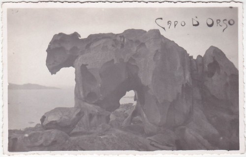 Capo orso sassari - capo,