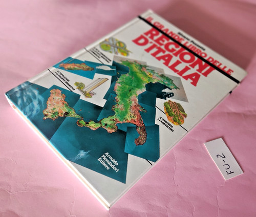 Grande libro ddelle - libro,