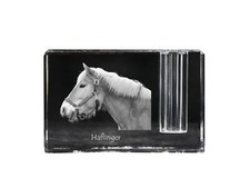 Haflinger portapenne - -,