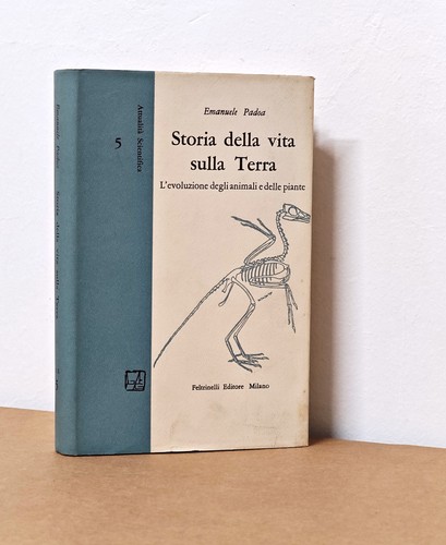 Padoa storia della - -,