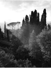 ANTICA FOTOGRAFIA IN BIANCO E