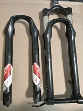 Forcella cerebrale