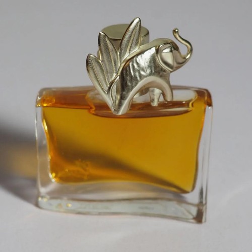 Kenzo jungle elephant eau - kenzo,