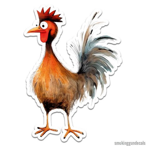 Divertente gallo pollo