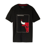 T-SHIRT UOMO CHICAGO BULLS -