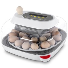 Incubatrice incubatrice