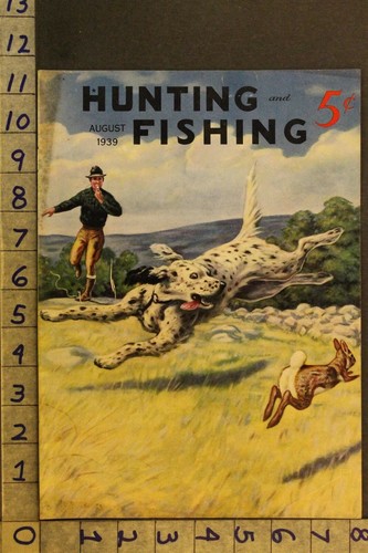1939 caccia setter inglese - caccia,