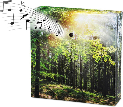 Soundbox con canto degli - canto,