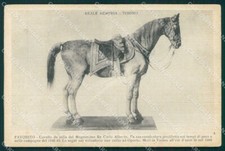Turin Royal City Armory Horse