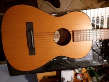 Chitarra Acustica Hofner Anni 60