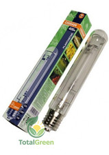 Lampada fioritura crescita