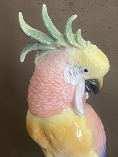 Karl ens grand oiseau - ens, cm