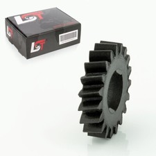 Ruota Dentata Riparazione