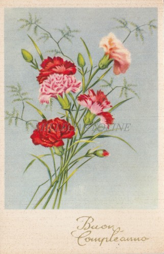 Buon compleanno fiori - buon,