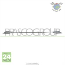 Modonatura paraurti prasco - modonatura,