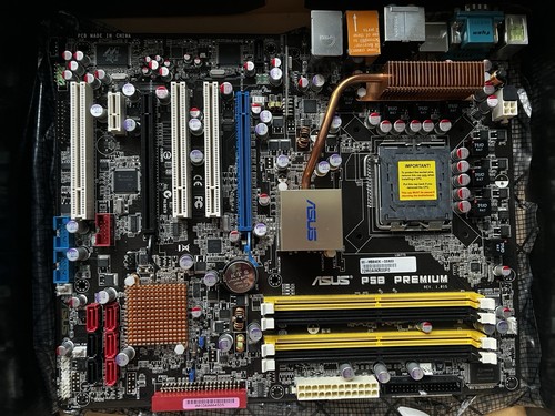 Scheda madre asus p5b - madre,