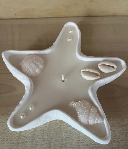 Vaso stella marina gesso - stella,