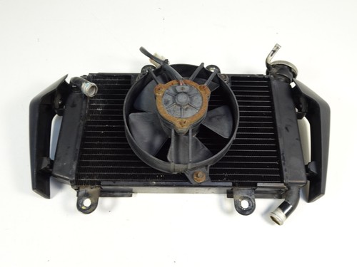 Radiatore ktm 125 - (radiatore),