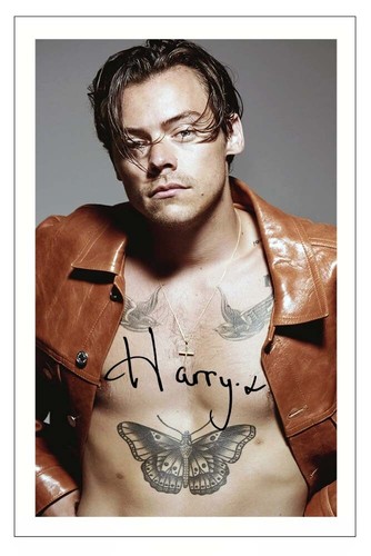 Harry styles signed autograph - harry,