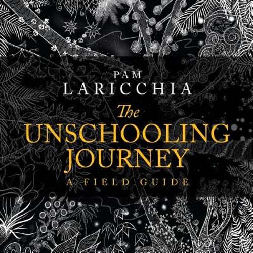 The unschooling journey a - the,