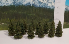 ALBERI DI MOOSE CREEK - Abete