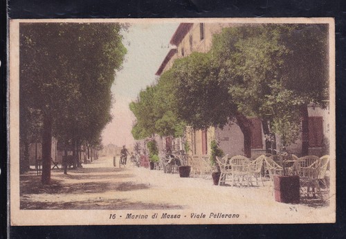 Cartolina marina massa - marina, di