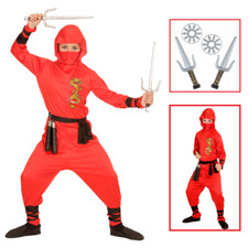 VESTITO CARNEVALE + ACCESSORI